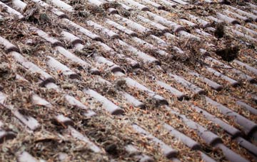 Blaenbedw Fawr roof cleaning companies