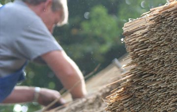 professional Blaenbedw Fawr thatchers