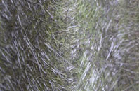 Blaenbedw Fawr fibreglass roof work